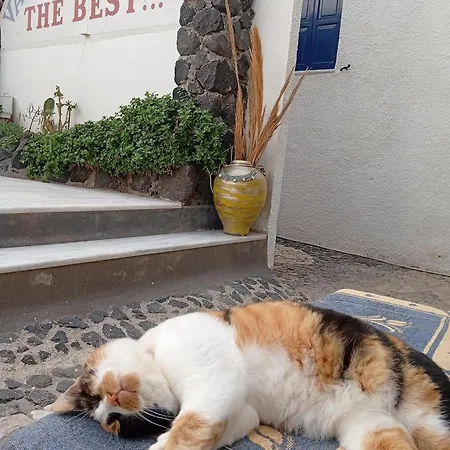 Appart hôtel The 3*