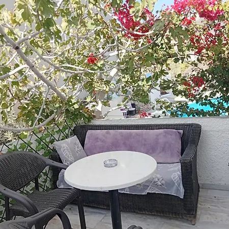 ذا بيست بيريسا