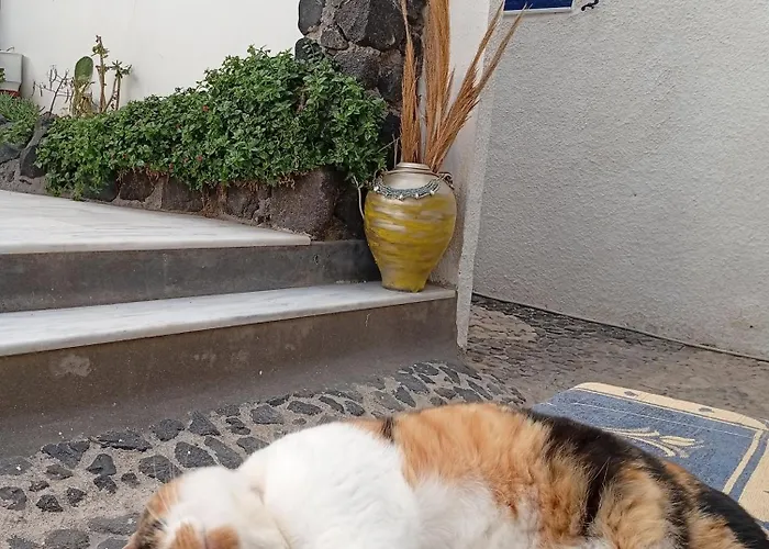 Lägenhetshotell The 3*